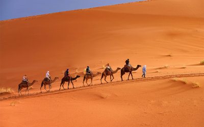 Camel Riding In Morocco’s Sahara Desert – 2 Days