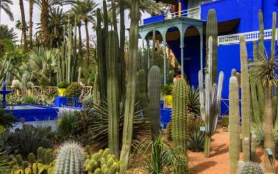 Marrakech Desert Tour: Great 6-Day Package