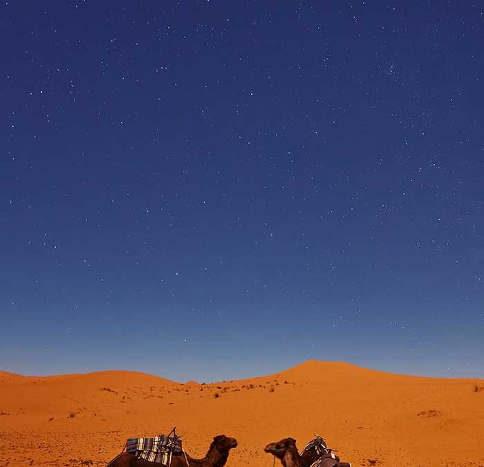 De Marrakech a Zagora 2 días