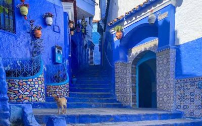 4 DAYS PRIVATE TOUR FROM TANGIER – NORTH MOROCCO